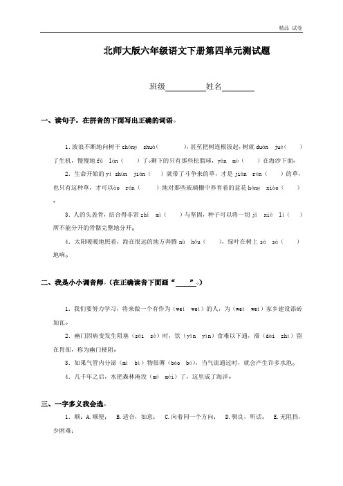 北师大版六年级语文下册第四单元测试题及答案