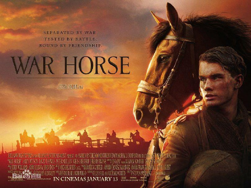 war horse1战马