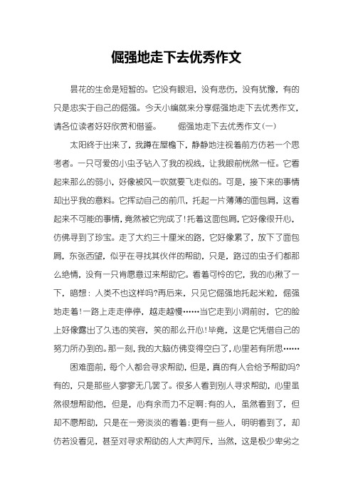 倔强地走下去优秀作文