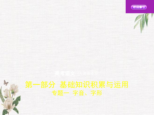 2020版_5年高考3年模拟_B版天津语文教师用书专题一 字音、字形学习课件PPT