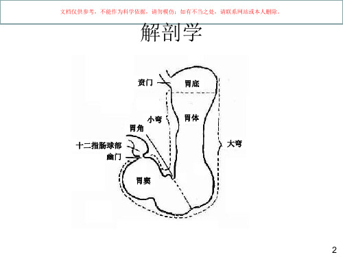 胃的解剖病理等大量图片综合培训课件