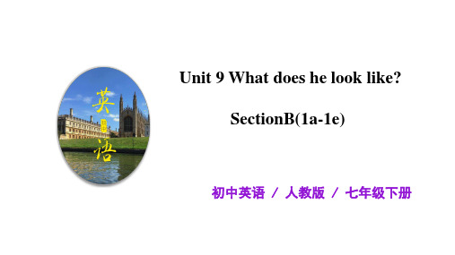 初中英语 七年级下册 Unit9 What does he look like