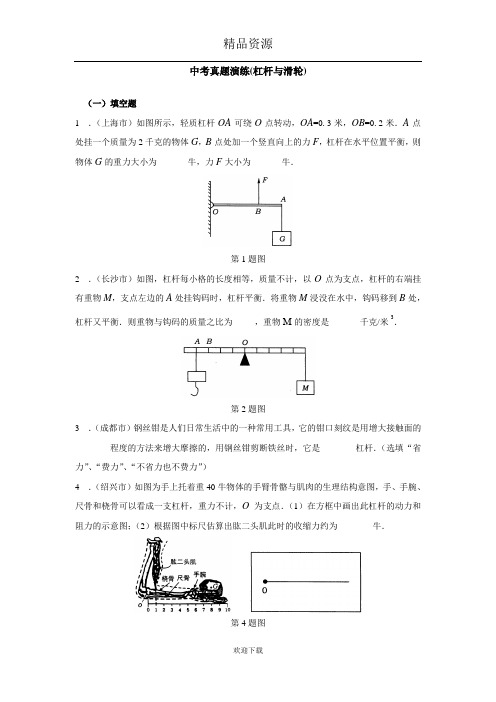 中考真题演练(杠杆与滑轮)