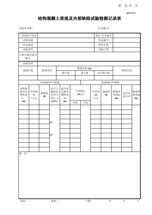 结构混凝土表观及内部缺陷检测