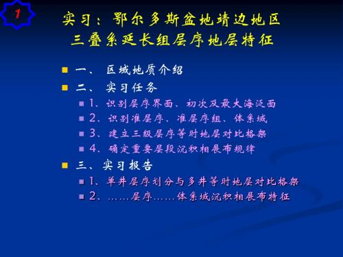 鄂尔多斯盆地靖边地区三叠系延长组层序地层特征