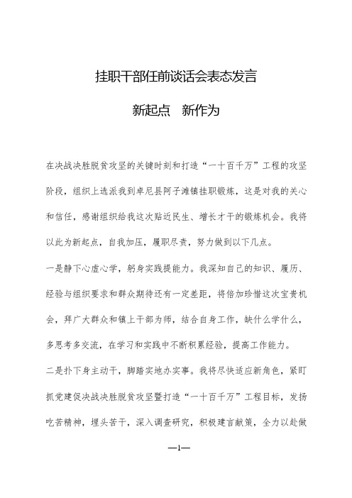 挂职任前谈话会表态发言3篇