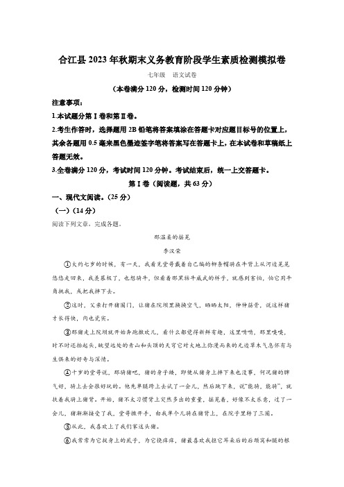 四川省泸州市合江县2023-2024学年七年级(上)期末语文试题(含解析)