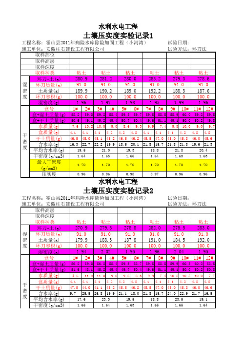 回填土实度实验记录自动计算1(1)