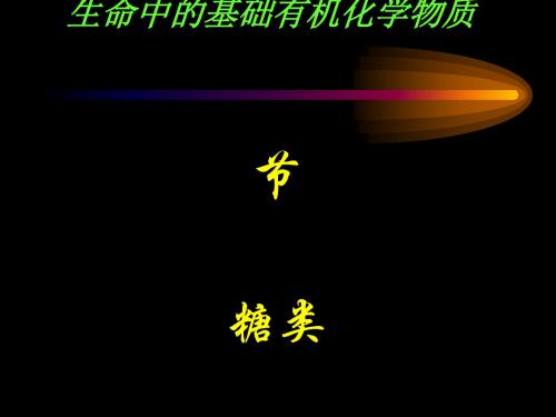 化学课件《选修5整套教学课件 》人教版19