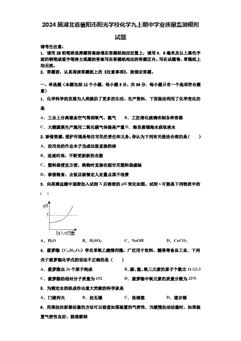 2024届湖北省襄阳市阳光学校化学九上期中学业质量监测模拟试题含答案解析