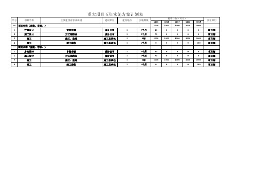 重大项目五年实施方案计划表