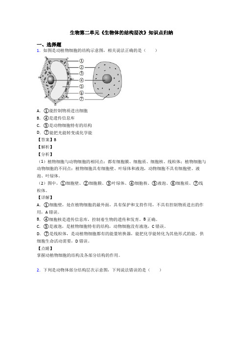 生物第二单元《生物体的结构层次》知识点归纳