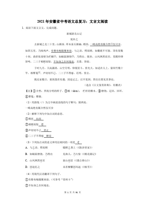 安徽省中考语文总复习：文言文阅读