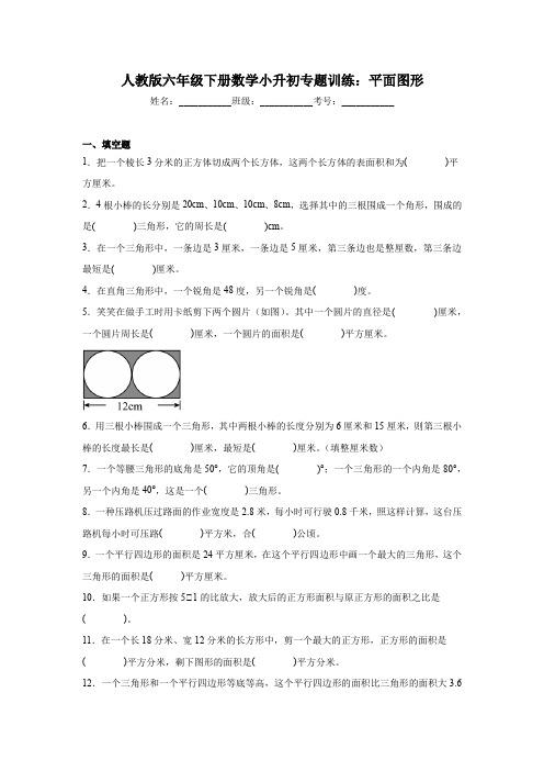 人教版六年级下册数学小升初专题训练：平面图形