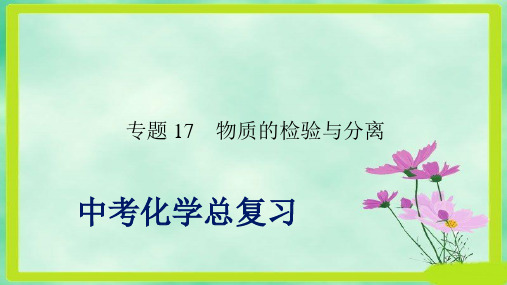 人教版九年级中考化学复习课件专题17_物质的检验与分离