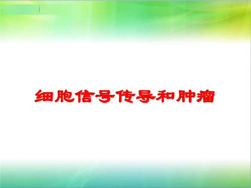 细胞信号传导和肿瘤培训课件