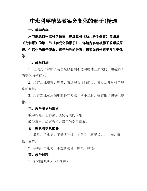 中班科学精品教案会变化的影子(精选