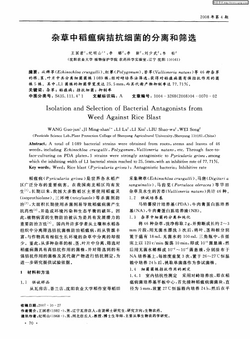 杂草中稻瘟病拮抗细菌的分离和筛选