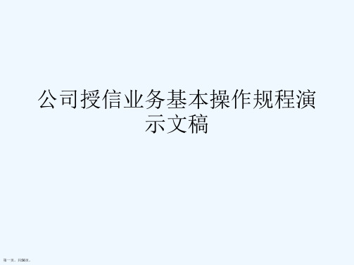 公司授信业务基本操作规程演示文稿