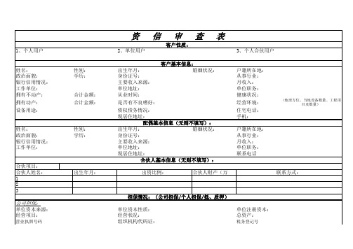 资信审查表