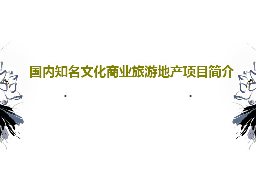 国内知名文化商业旅游地产项目简介共226页PPT