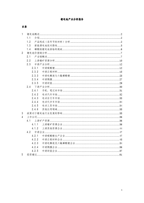 2010锂电池产业分析报告