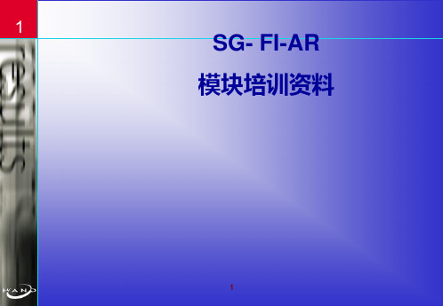 中航油SAP实施项目_培训资料_SG-FI AP