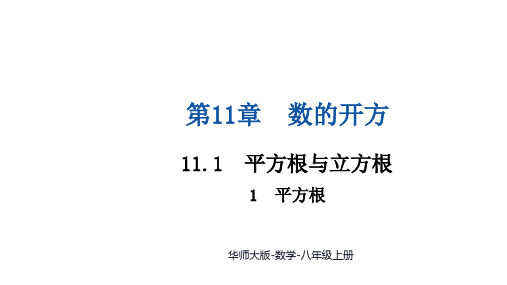 【初中数学++】平方根+课件+华师大版数学八年级上册