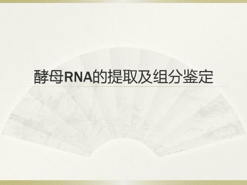 试验26酵母RNA的提取及组分鉴定