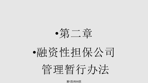 融资性担保公司政策解读PPT课件