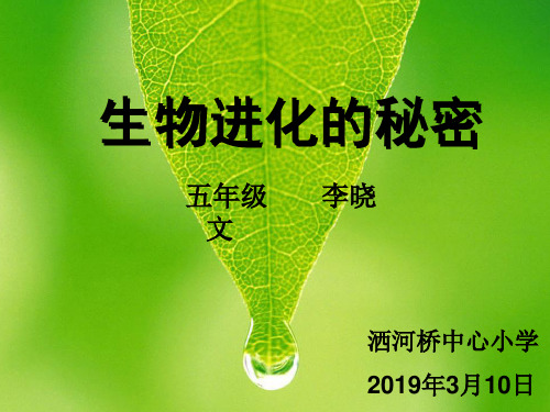 五年级下册科学课件2 生物进化的秘密冀教版 (共17页)PPT