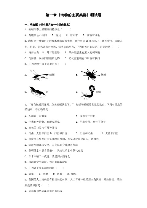 人教版生物八年级上册第五单元第一章《动物的主要类群》测试题(含答案)