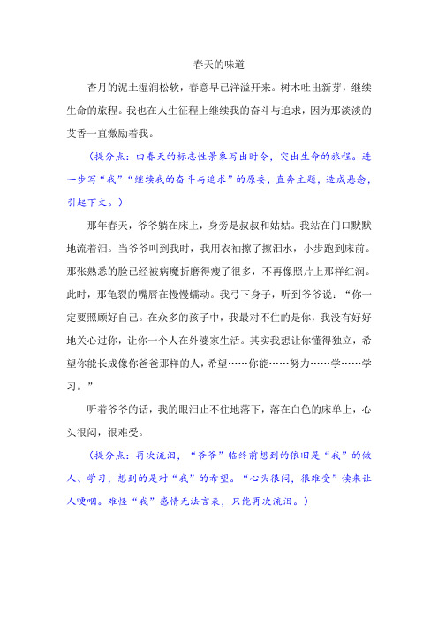 《春天的味道》优秀作文及点评