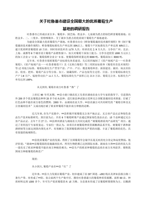 关于吐鲁番市建设全国最大的优质葡萄生产