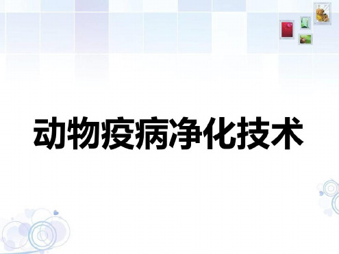 动物疫病净化技术_2023年学习资料