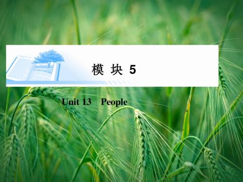 13 People精讲课件 北师大版必修5课件