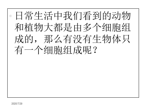 人教版七年级初一上册生物《只有一个细胞的生物体PPT课