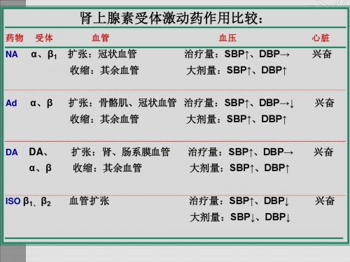 药理学11章节