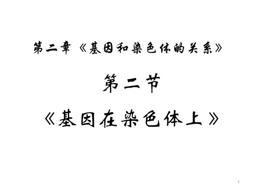 高中生物必修二第二章第二节基因在染色体上