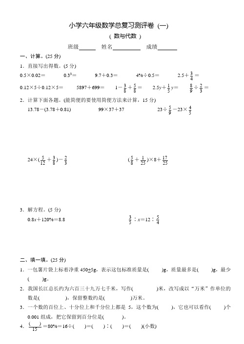 苏教版六年级数学下册试卷总复习一 数与代数