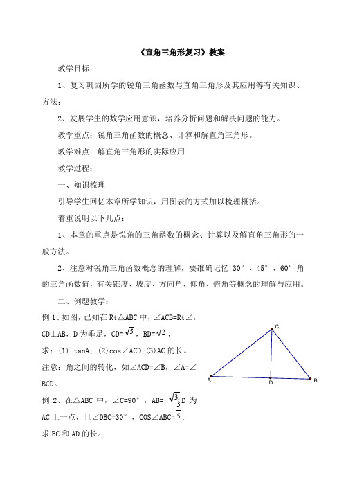 《直角三角形复习》教案