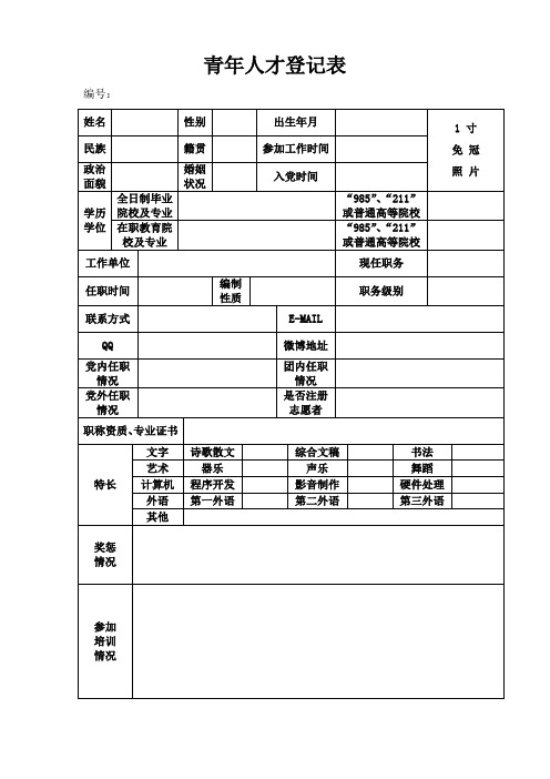 青年人才登记表