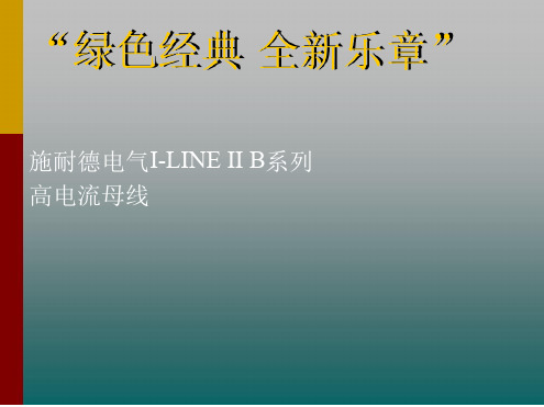 施耐德ILINE_B系列母线_PPT