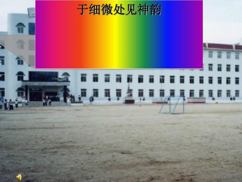 于细微处见神韵——学会人物细节描写ppt