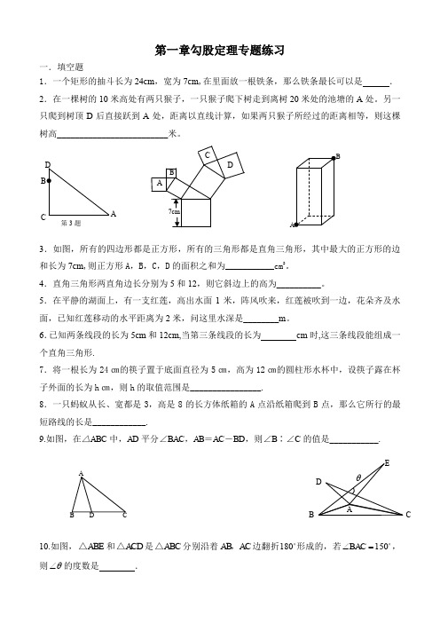 全等三角形与勾股定理专题