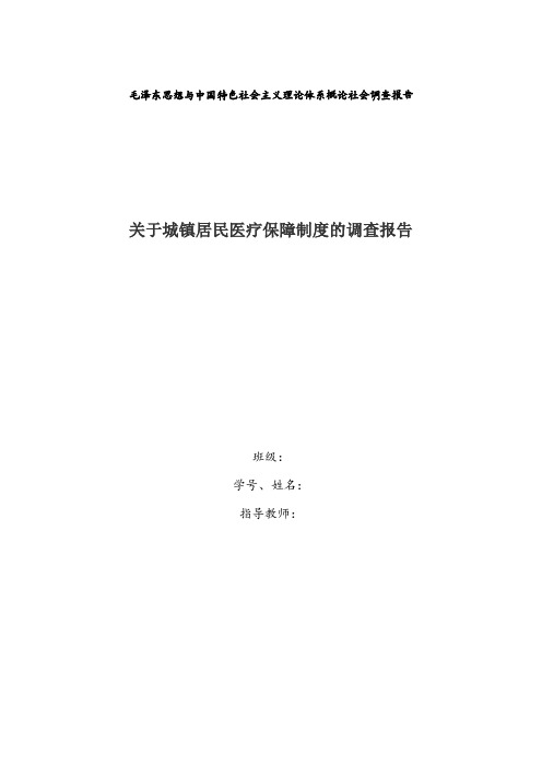 中国特色社会主义理论体系概论社会调查报告