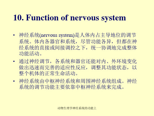 动物生理学神经系统的功能上课件