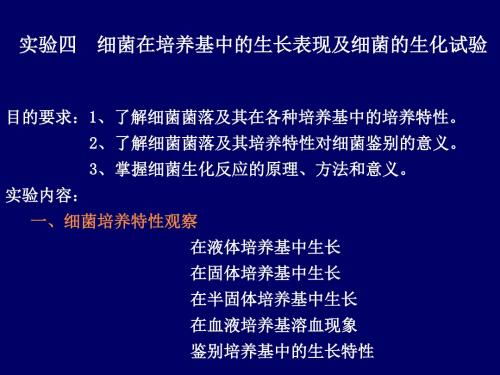 实验四 细菌在培养基中的生长表现与生化实验讲解