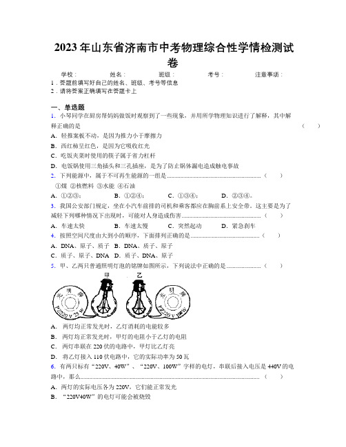 2023年山东省济南市中考物理综合性学情检测试卷及解析