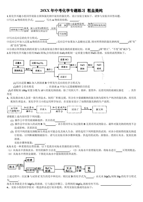 中考化学专题 粗盐提纯